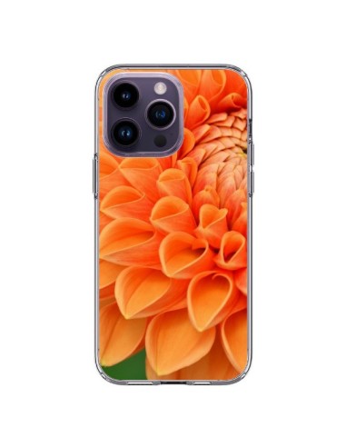 Coque iPhone 14 Pro Max Fleurs oranges flower - R Delean