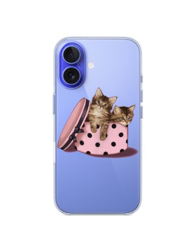 Coque iPhone 16 Chaton Chat Kitten Boite Pois Transparente - Maryline Cazenave