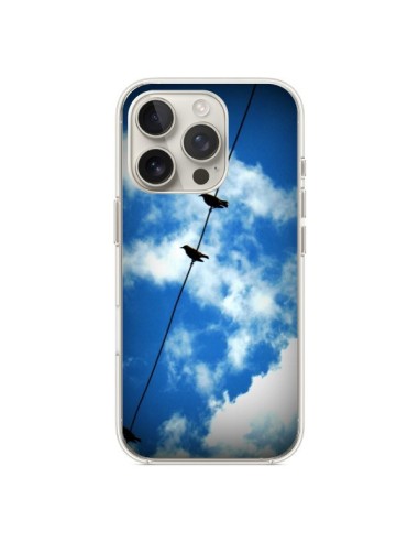 Coque iPhone 16 Pro Oiseau Birds - R Delean