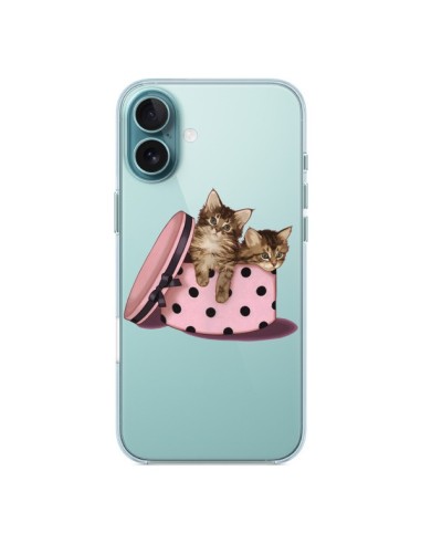 Coque iPhone 16 Plus Chaton Chat Kitten Boite Pois Transparente - Maryline Cazenave